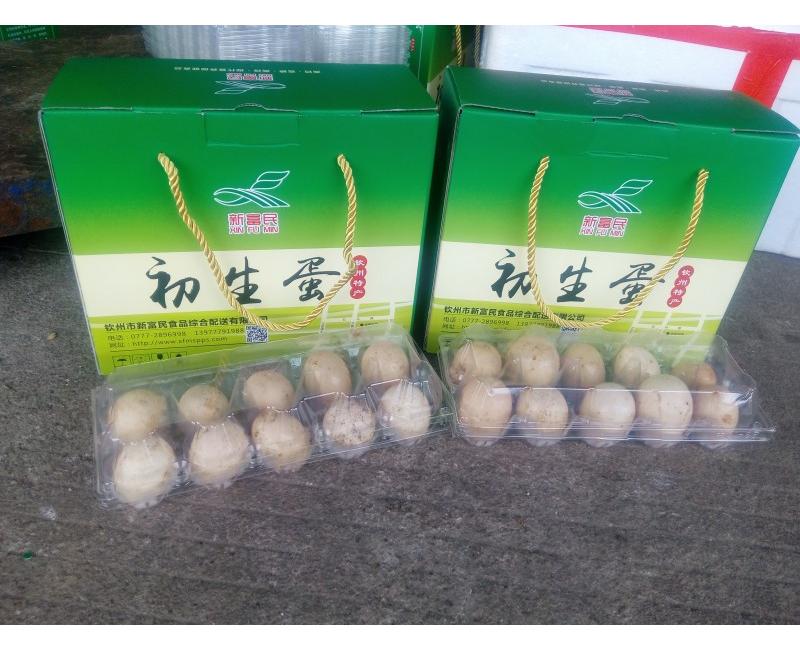 新富民初生蛋-源于天然 滋補(bǔ)有道。